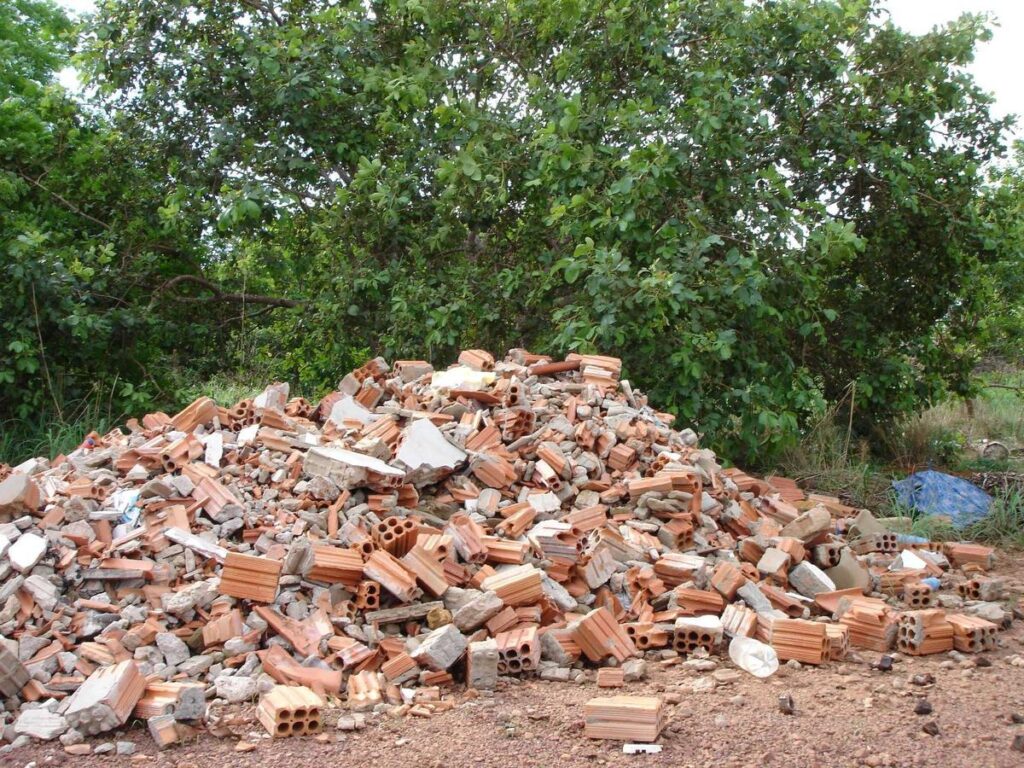 Entulho local propicio para escorpiões amarelos dedetização eficaz em bh para escorpião é a senen melo dedetizadora dedetização para escorpião