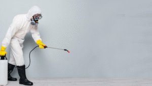 dedetização-em-Belo-Horizonte-contra-baratas-e-ratos