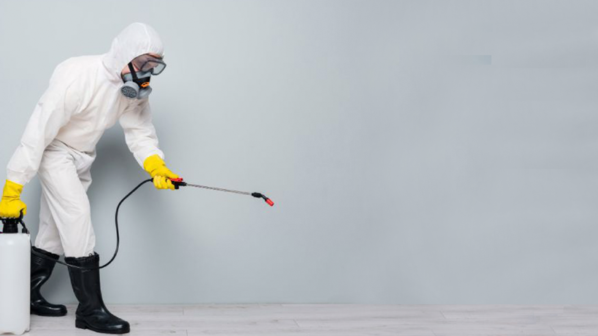 dedetização-em-Belo-Horizonte-contra-baratas-e-ratos