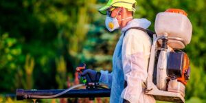 Desinsetização completa contra pragas urbanas em Belo horizonte e dedetizaçaõ em contagem